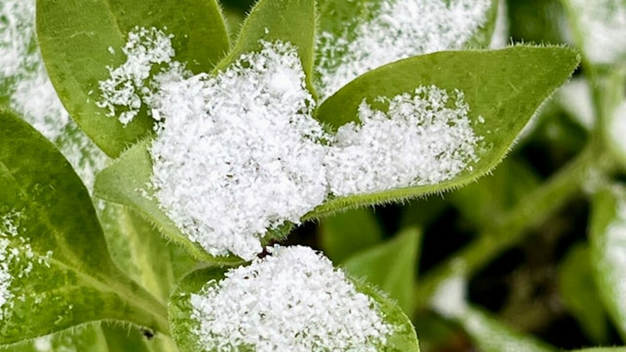 Жителей Ульяновской области предупредили о резк...