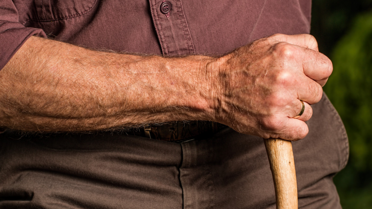 Американские исследователи выяснили, что жизнь ...