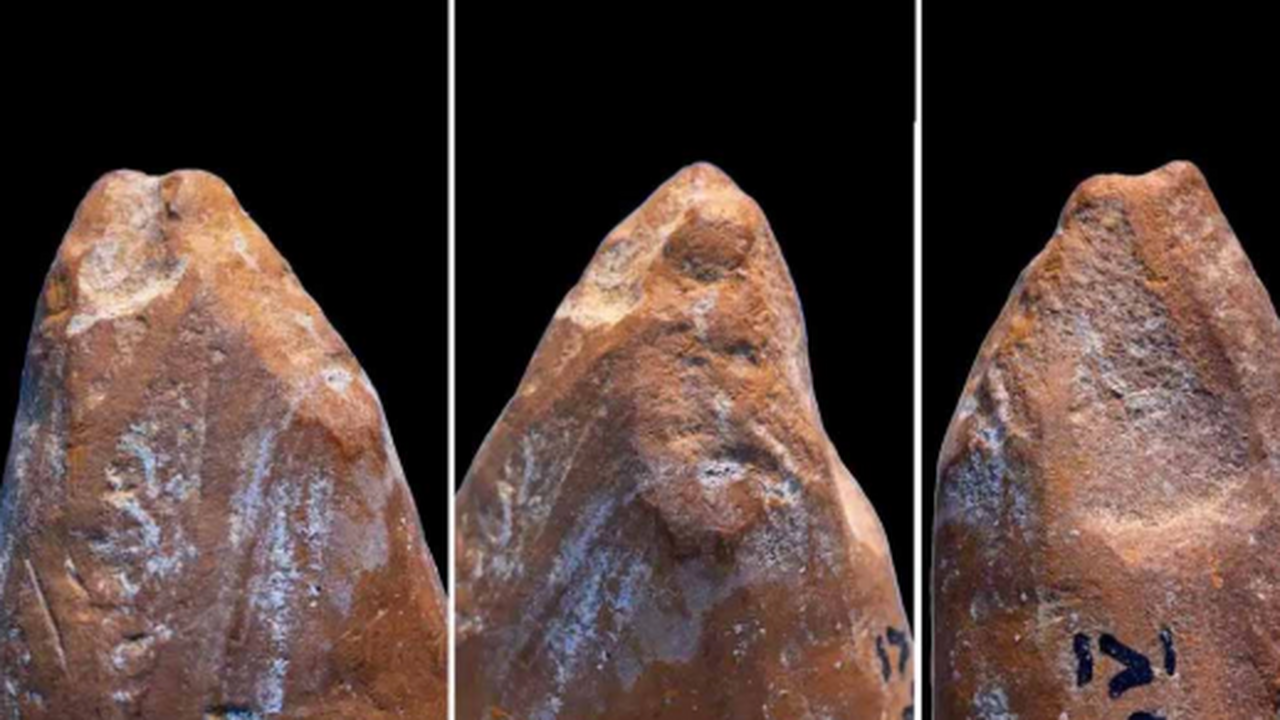 Ученые нашли в Крыму 42-тысячелетний «мелок» неандертальца Международная группа исследователей совершила о...