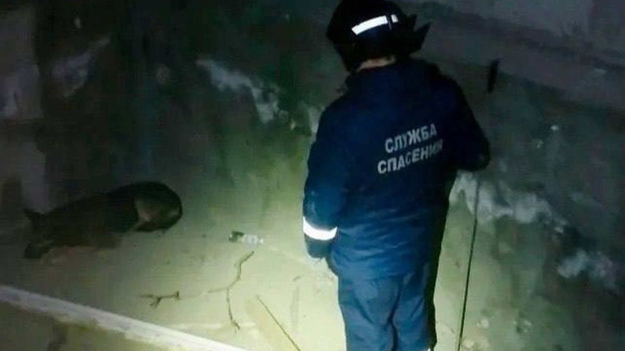 В парке "Молодежный" возникла потенциально смер...