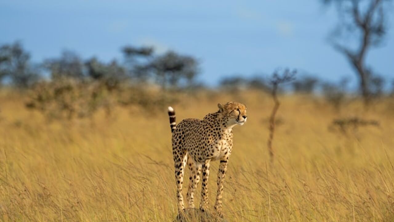 Международная группа исследователей представила...