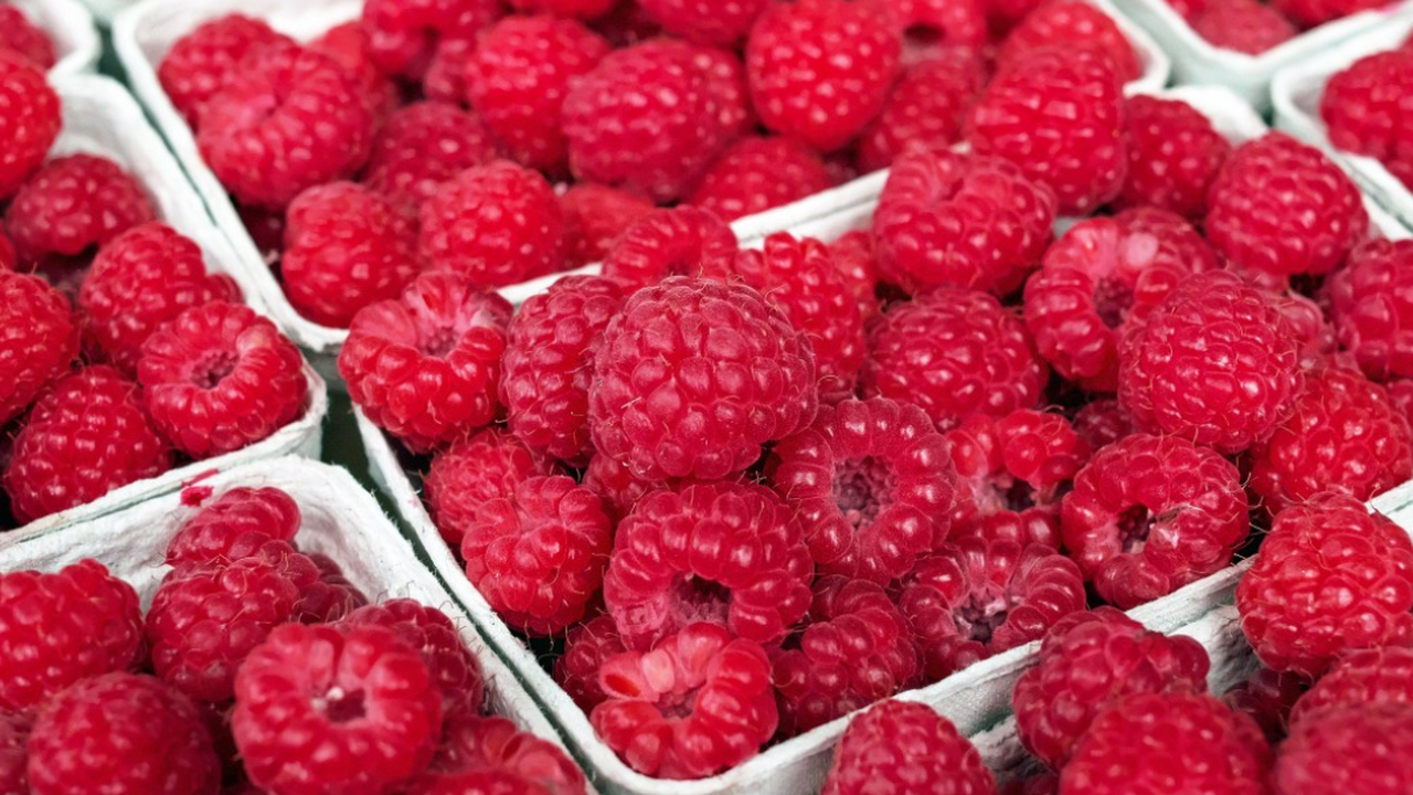 Какие растения улучшают урожай малины и помогают ухаживать за малинником Малина хорошо реагирует на грамотный уход и пра...