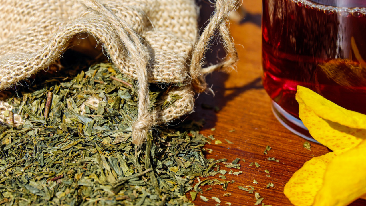 В России придумали полезный чай из отходов леса — эффект удивил ученых Учёные Бурятского государственного университета...