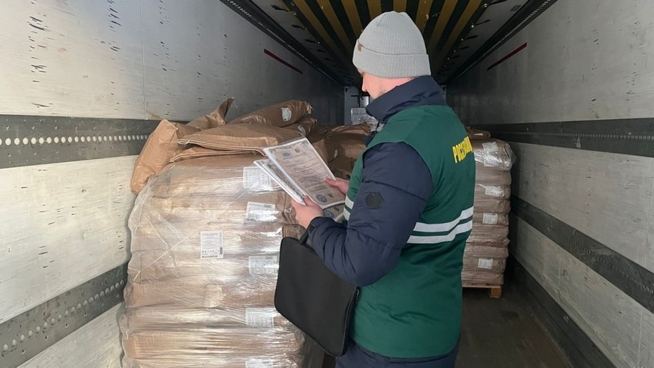 Ульяновская область осуществила экспортную пост...