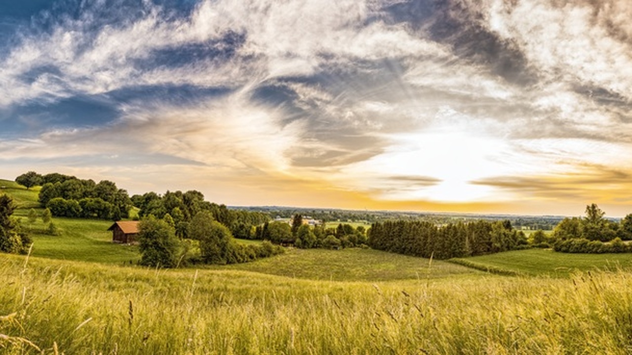 Больше 500 многодетных семей в 2026 году получат участки для строительства В следующем году 572 семьи с тремя и более деть...