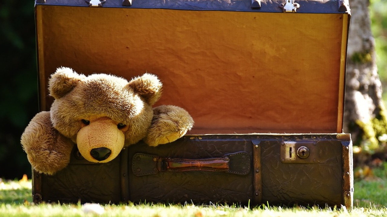 Недавнее появление в димитровградских соцсетях ...