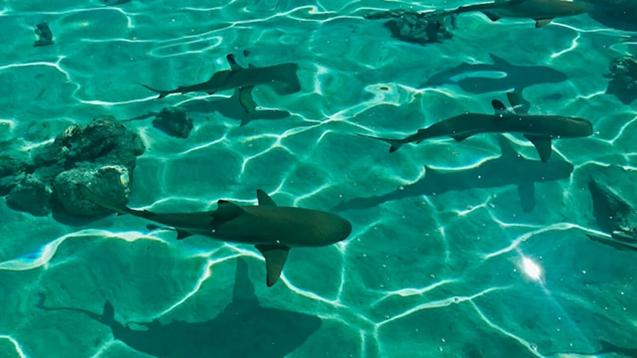 В 2025 году в мире зарегистрировано порядка 105...