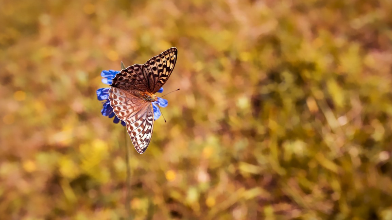Крупнейшее за 100 лет исследование показало, чт...