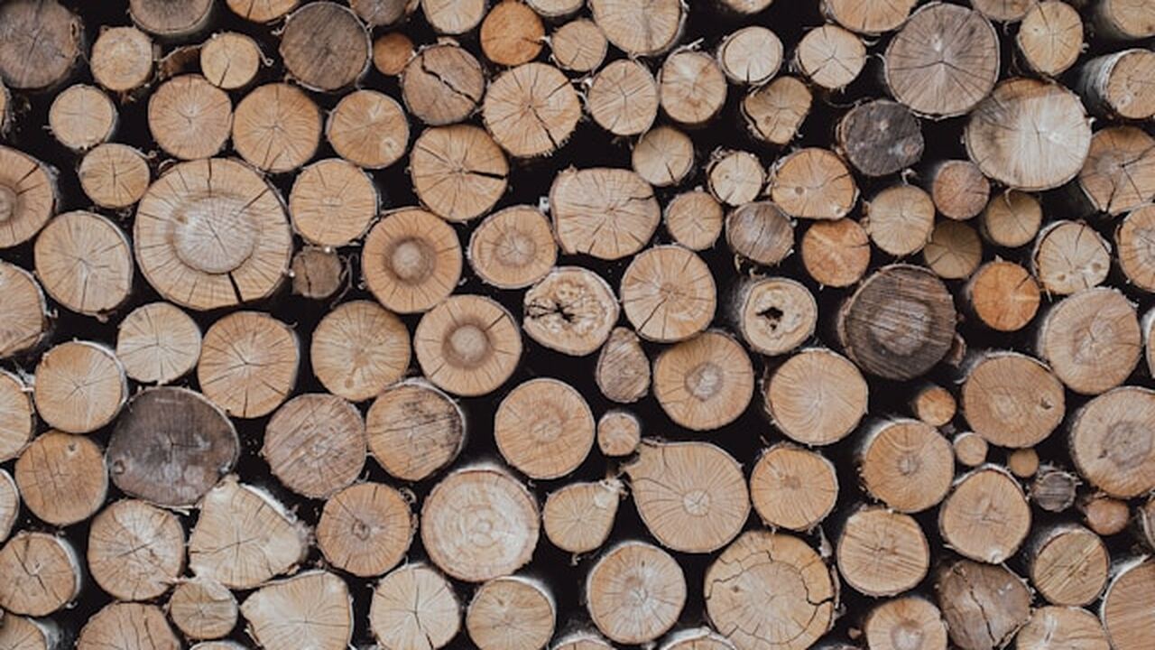 С начала года из Ульяновской области в Казахста...