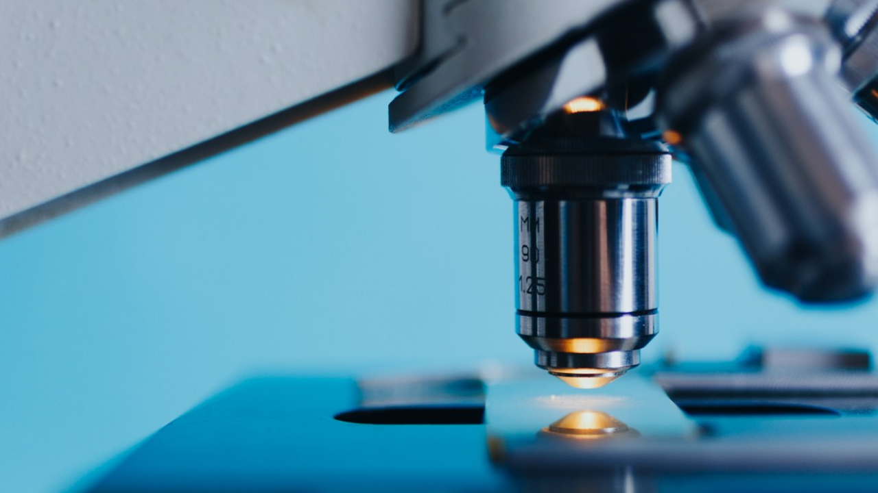 Ученые обнаружили неожиданную связь между здоровьем печени и интеллектом Международная группа исследователей совершила п...