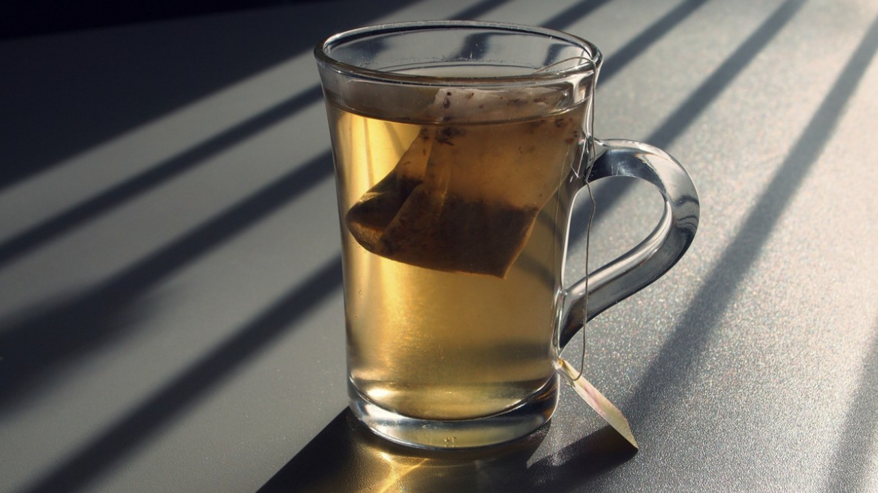 Почему садоводы закапывают чайные пакетики под помидоры — результат удивит даже опытных дачников Мало кто знает, что использованные чайные пакет...