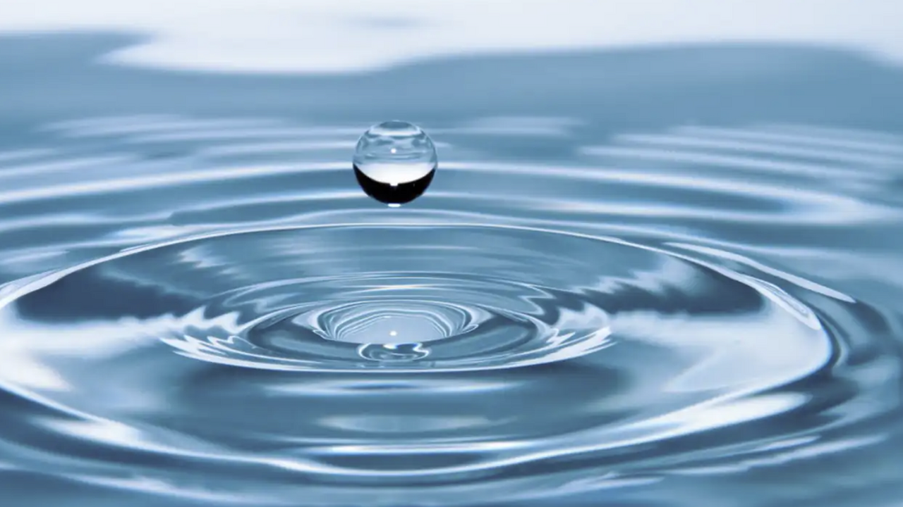 Экологи и медики фиксируют рост числа опасных с...