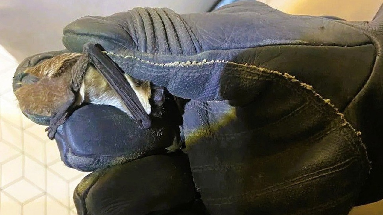 Жители одного из домов по улице Ипподромной в У...