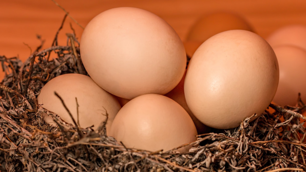 На птицефабриках работники знают секрет, которы...