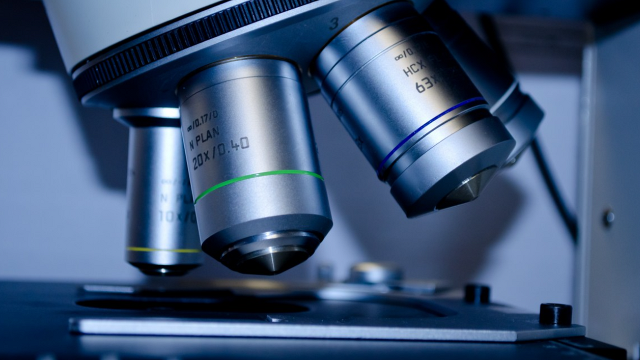 В НГТУ разработали ИИ-систему для диагностики болезни Крона и колита В Новосибирском государственном техническом уни...