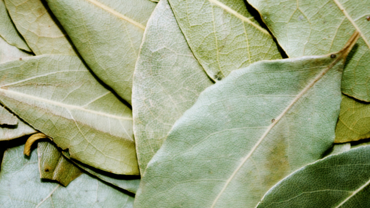 Лавровый лист можно использовать не только в ку...