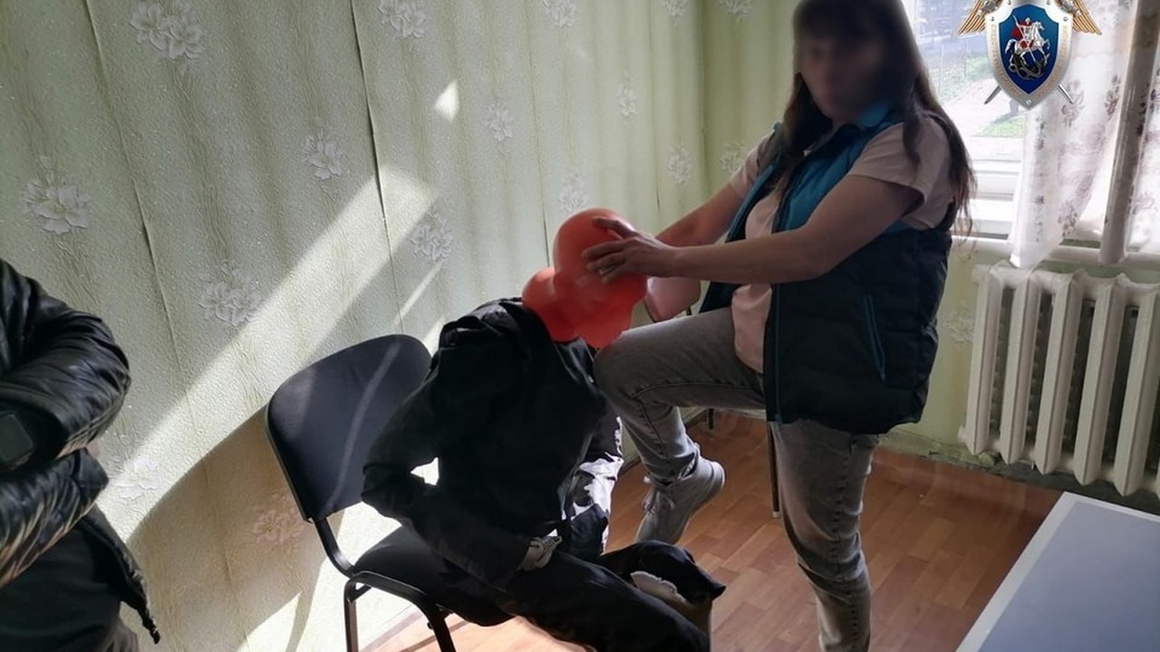 В Барыше вынесен приговор женщине за убийство пенсионерки Ульяновский областной суд завершил рассмотрение...