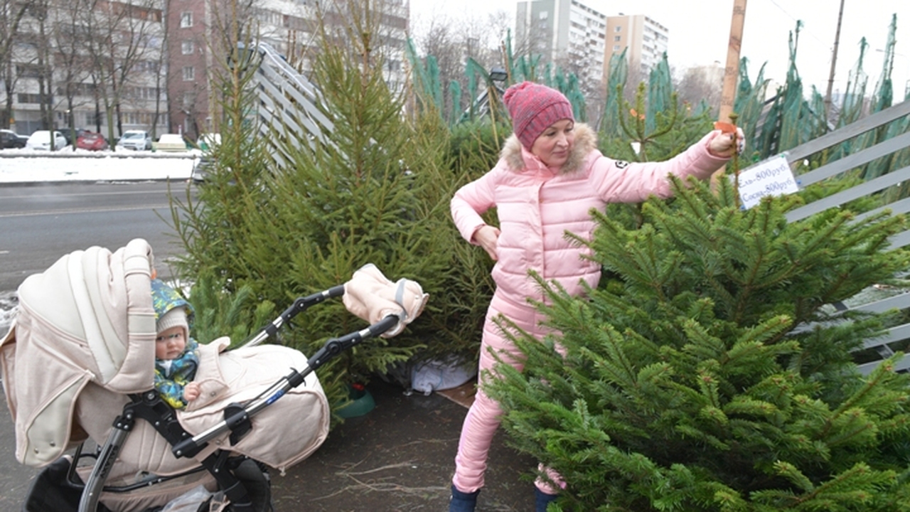 В Ульяновске с 15 декабря заработают 18 елочных...