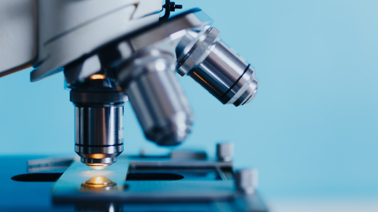 Ученые создают лекарство от ожирения из сибирской лиственницы Российские учёные из Сеченовского университета ...