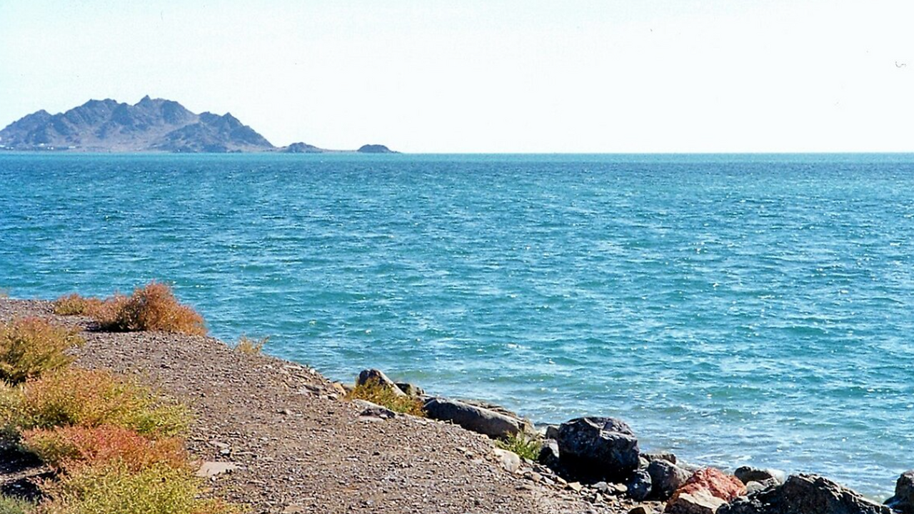 В северной части Каспийского моря совершено нео...