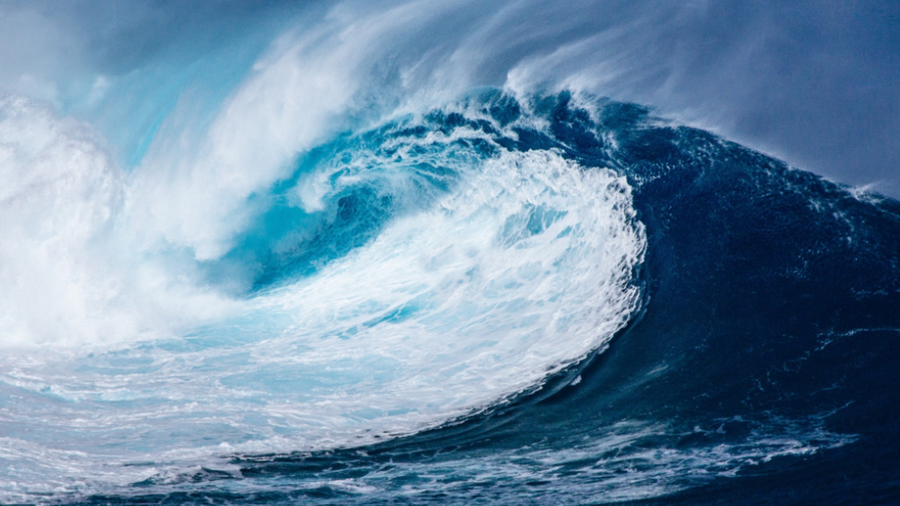 Российские учёные в рамках трёхлетнего экологич...