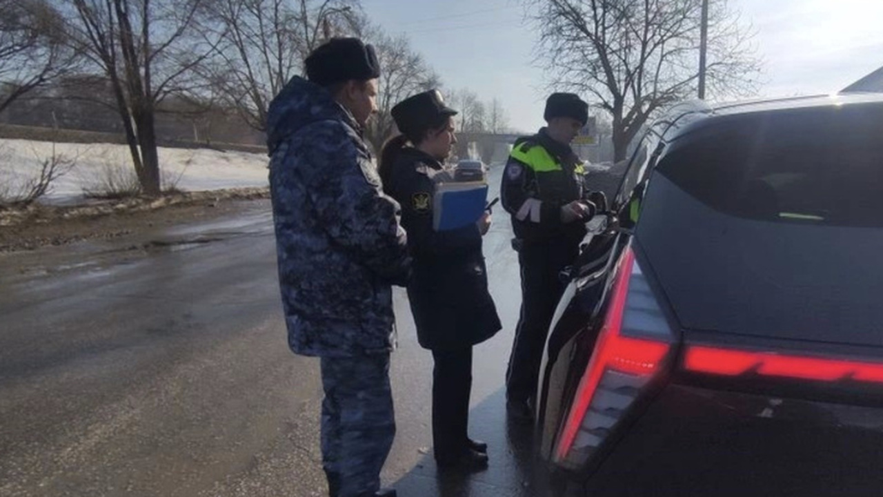 В Димитровграде прошёл совместный рейд судебных...