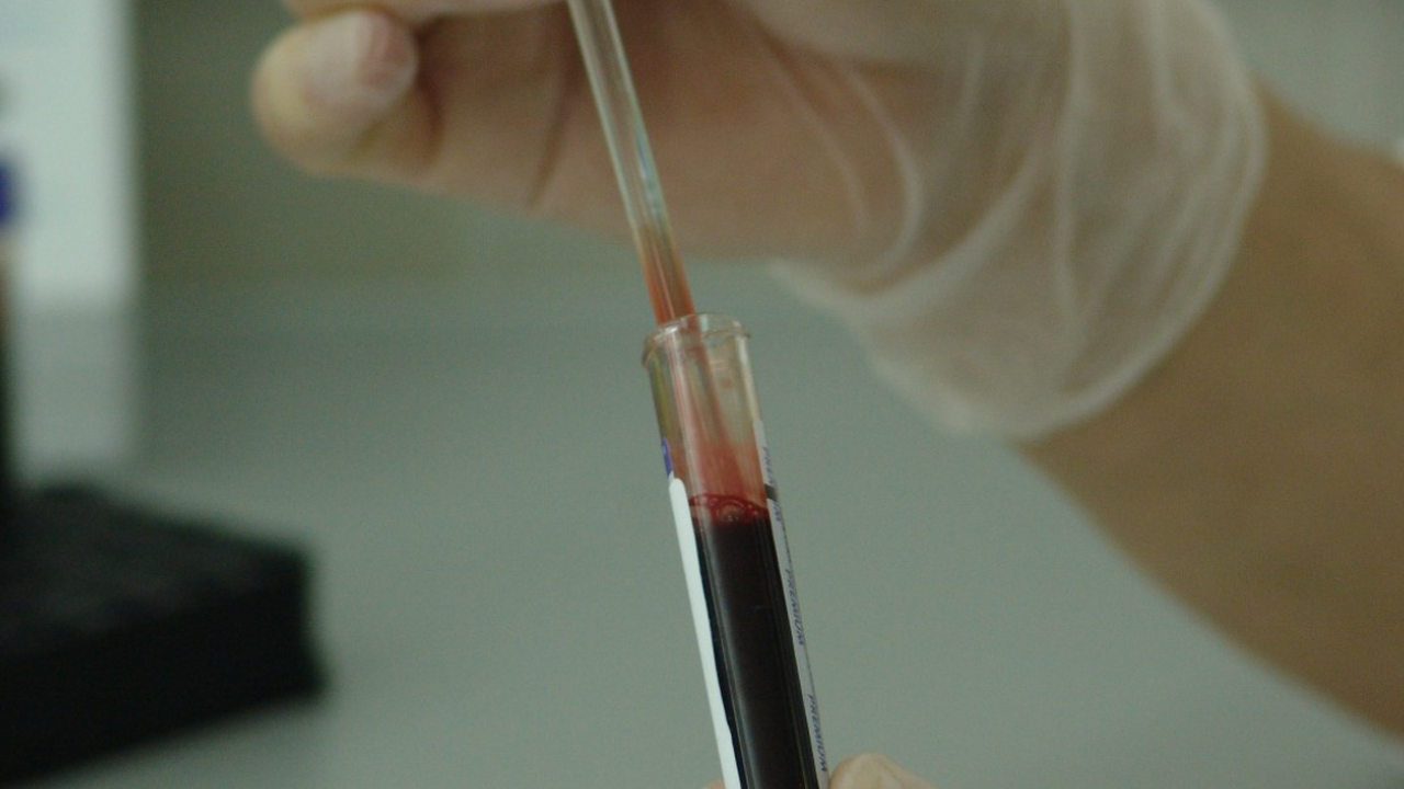 Учёные Новосибирского института органической хи...