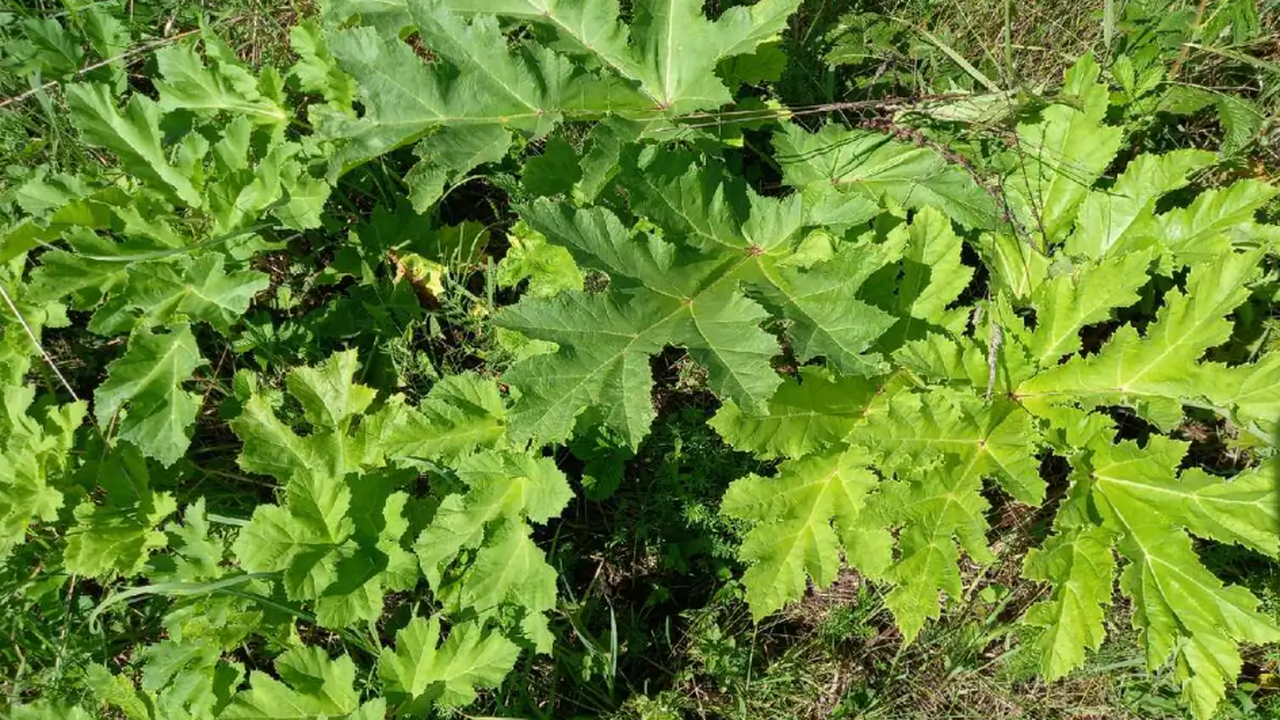 С 1 марта 2026 года в России вступят в силу нов...