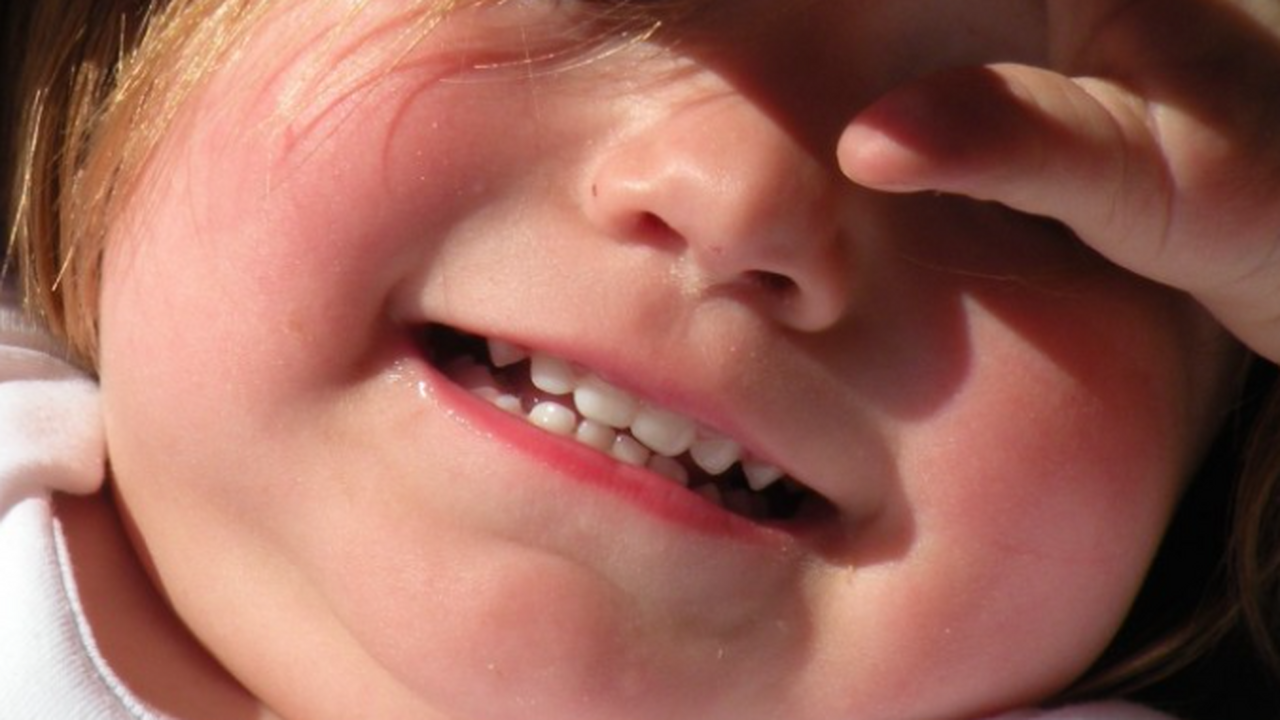 Человек, как и большинство млекопитающих, относ...