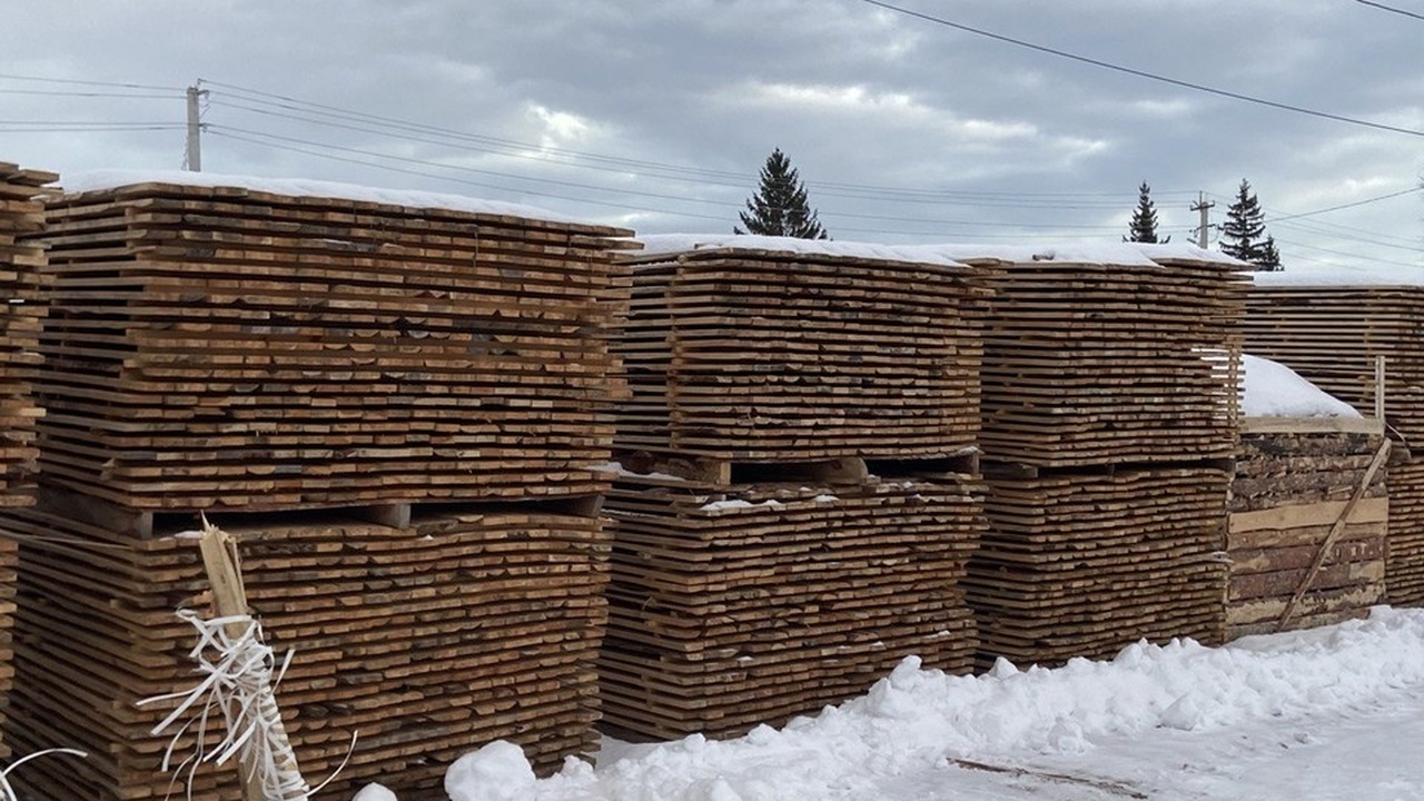 В течение 2025 года Ульяновская область активно...