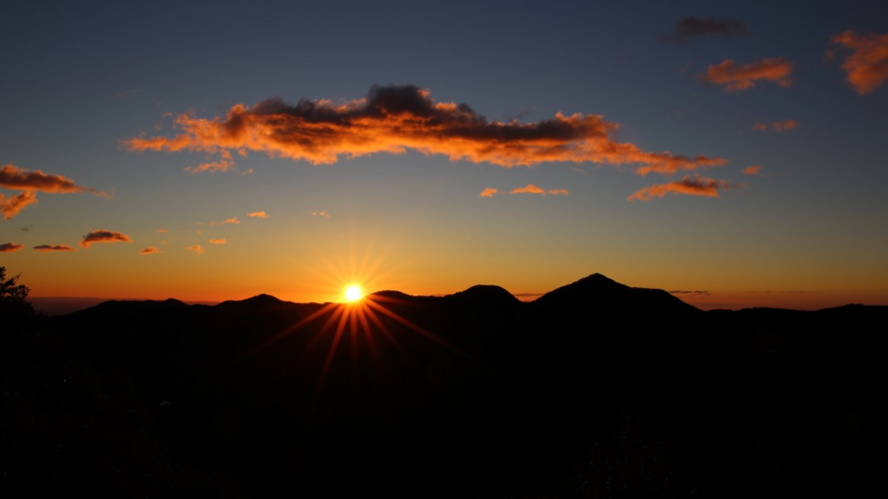 Международная команда учёных впервые создала де...