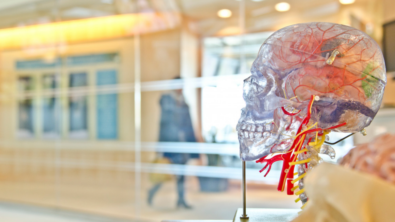 Ученые МГУ продолжают развивать экспериментальн...