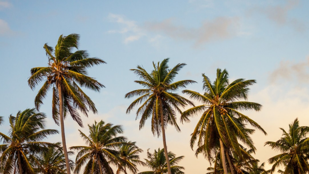 Исследователи из Royal Holloway подготовили раб...