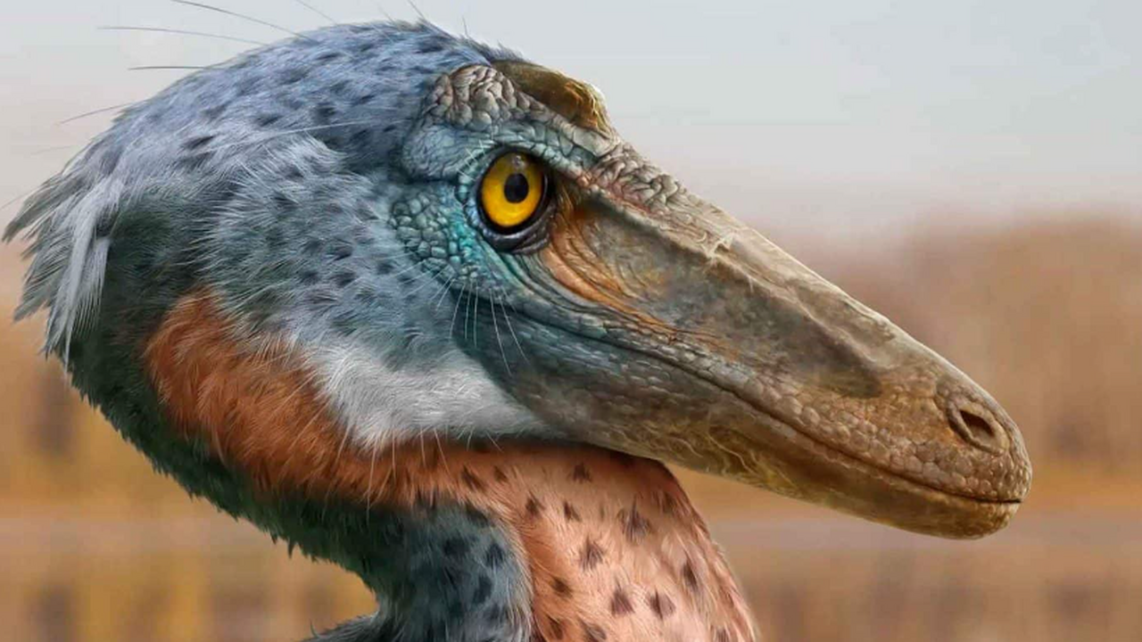 Международная группа палеонтологов описала новы...