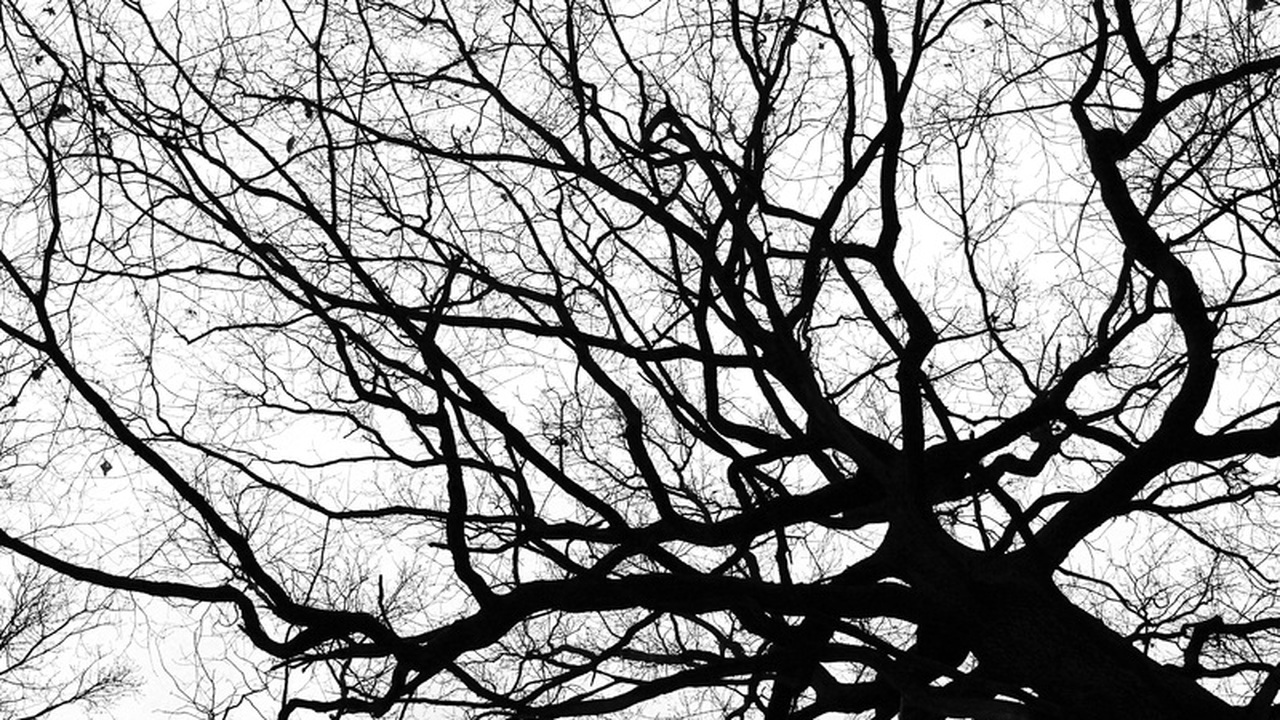 Компост зимой: как ускорить переработку органики Многие дачники сталкиваются с проблемой медленн...