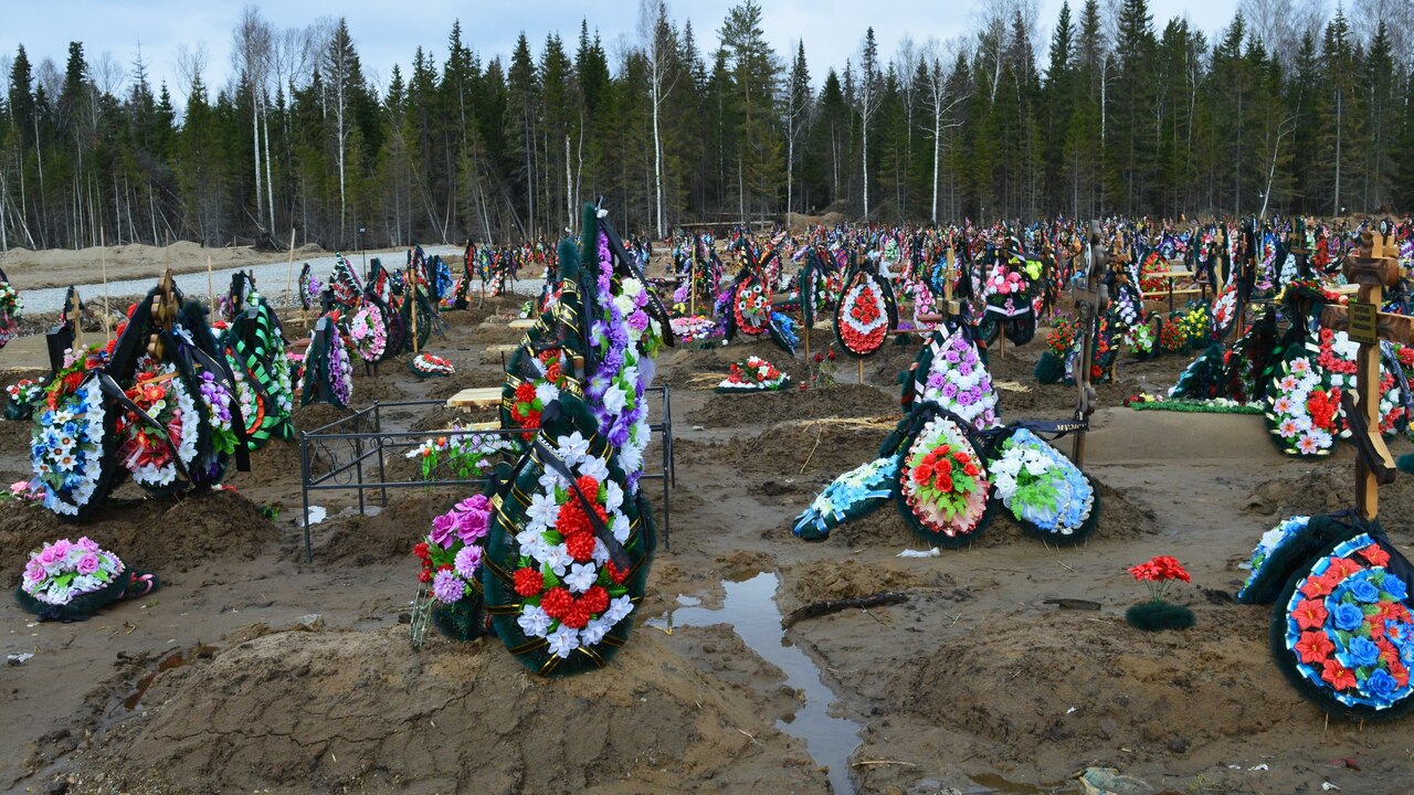 Крупное исследование учёных из Университета Лим...