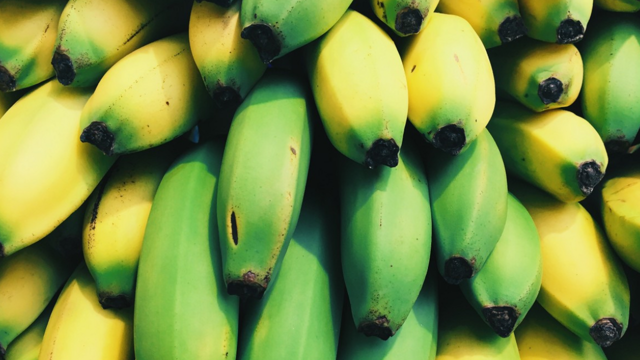 Гастроэнтеролог и выпускник Гарварда Саураб Сет...