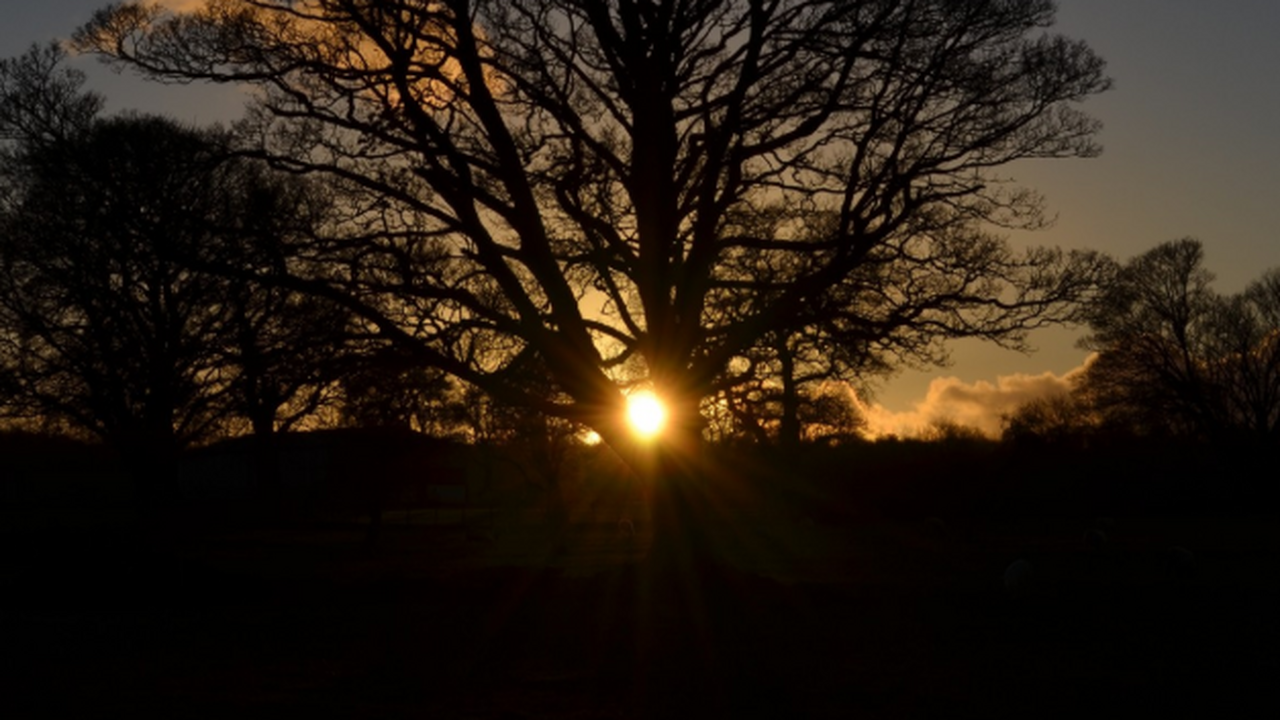 Что ждет кардинальные знаки зодиака в день зимнего солнцестояния 21 декабря ти четыре знака объединяет стремление к перемен...