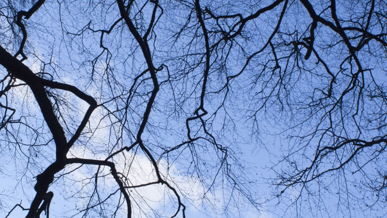 Грядущий зимний сезон в России обещает быть про...