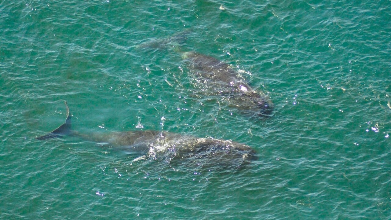 Международная группа исследователей под руковод...