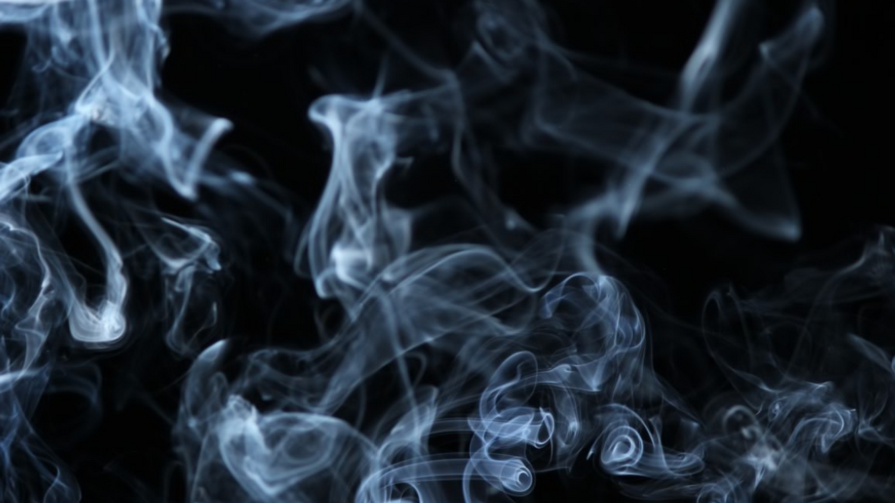 Исследователи Томского государственного универс...