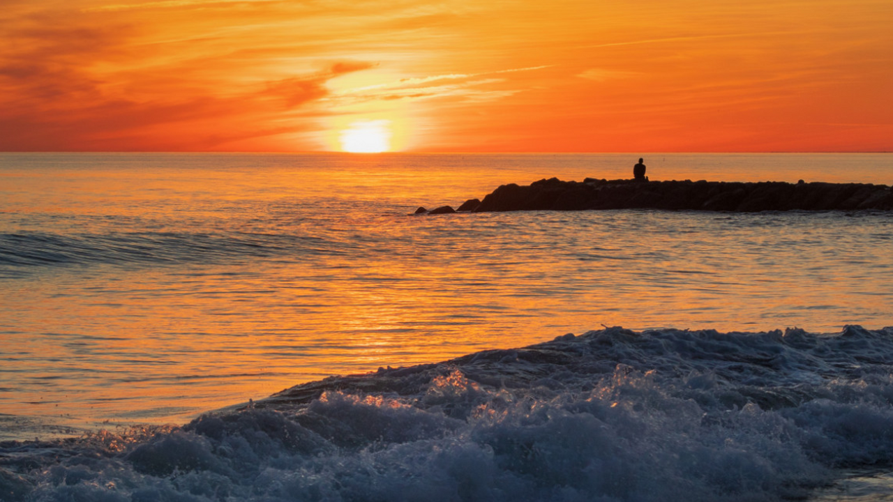 NS: донное траление может привести к катастрофе с ртутью в Мировом океане Международная группа исследователей опубликовал...