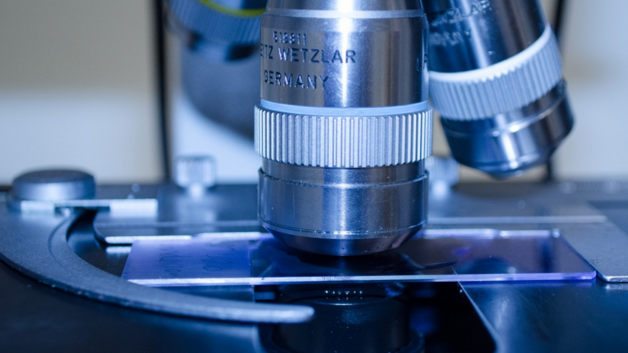 Химики Нижегородского государственного универси...