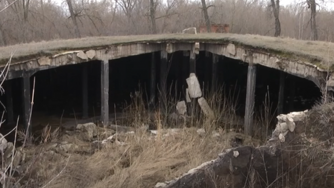 На портале государственных закупок размещена ин...