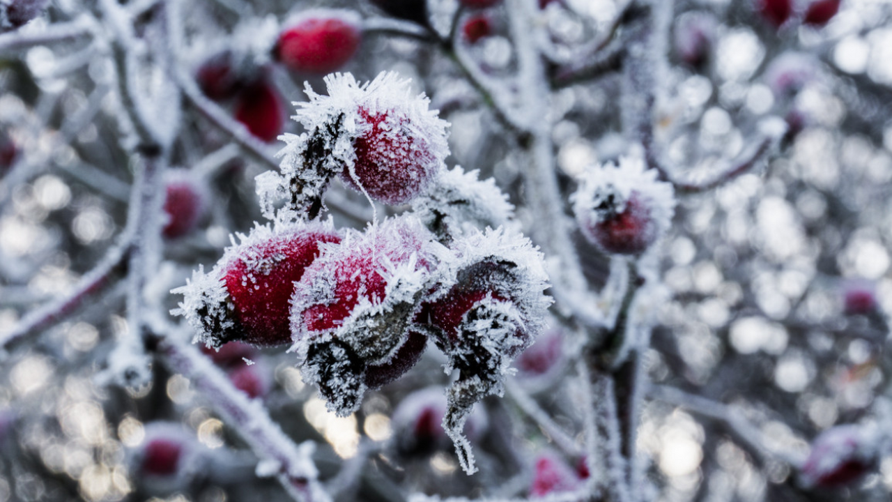 Социальные сети охватило обсуждение пугающего п...