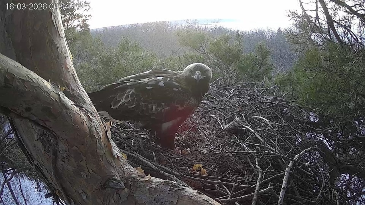В Ульяновская область зафиксировано возвращение...
