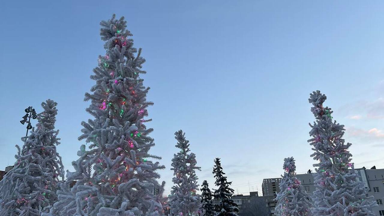 Согласно производственному календарю, новогодни...