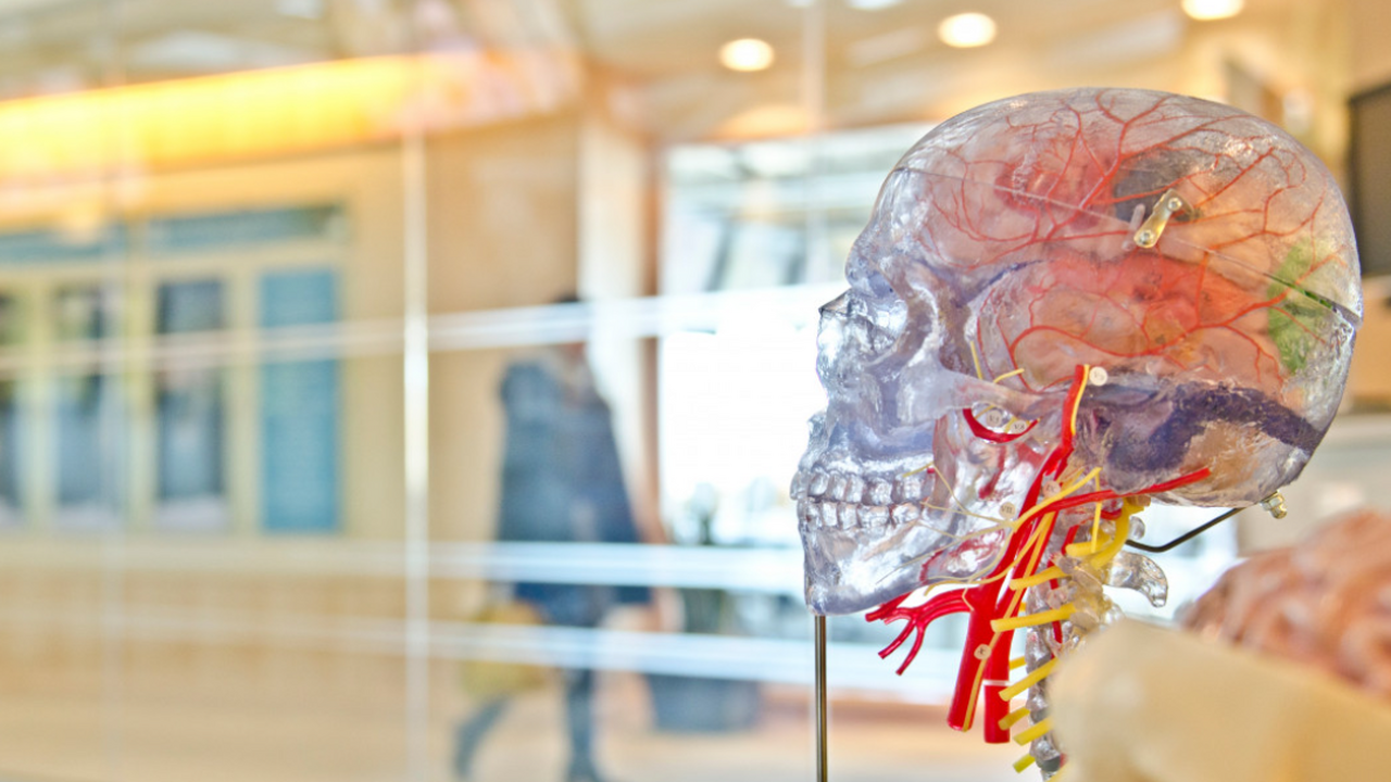 Ученые РАН создали полностью прозрачный искусственный интеллект Российские исследователи из Института биофизики...