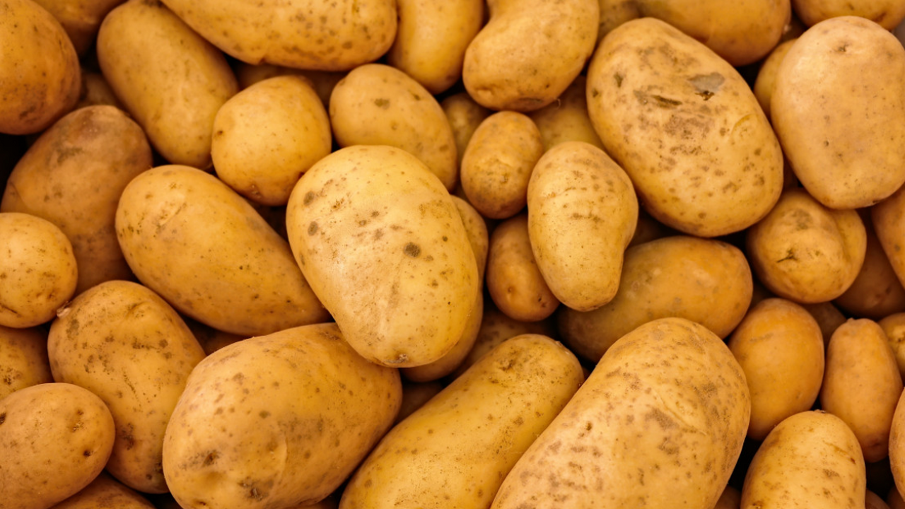 В начале зимы все чаще появляются публикации о ...