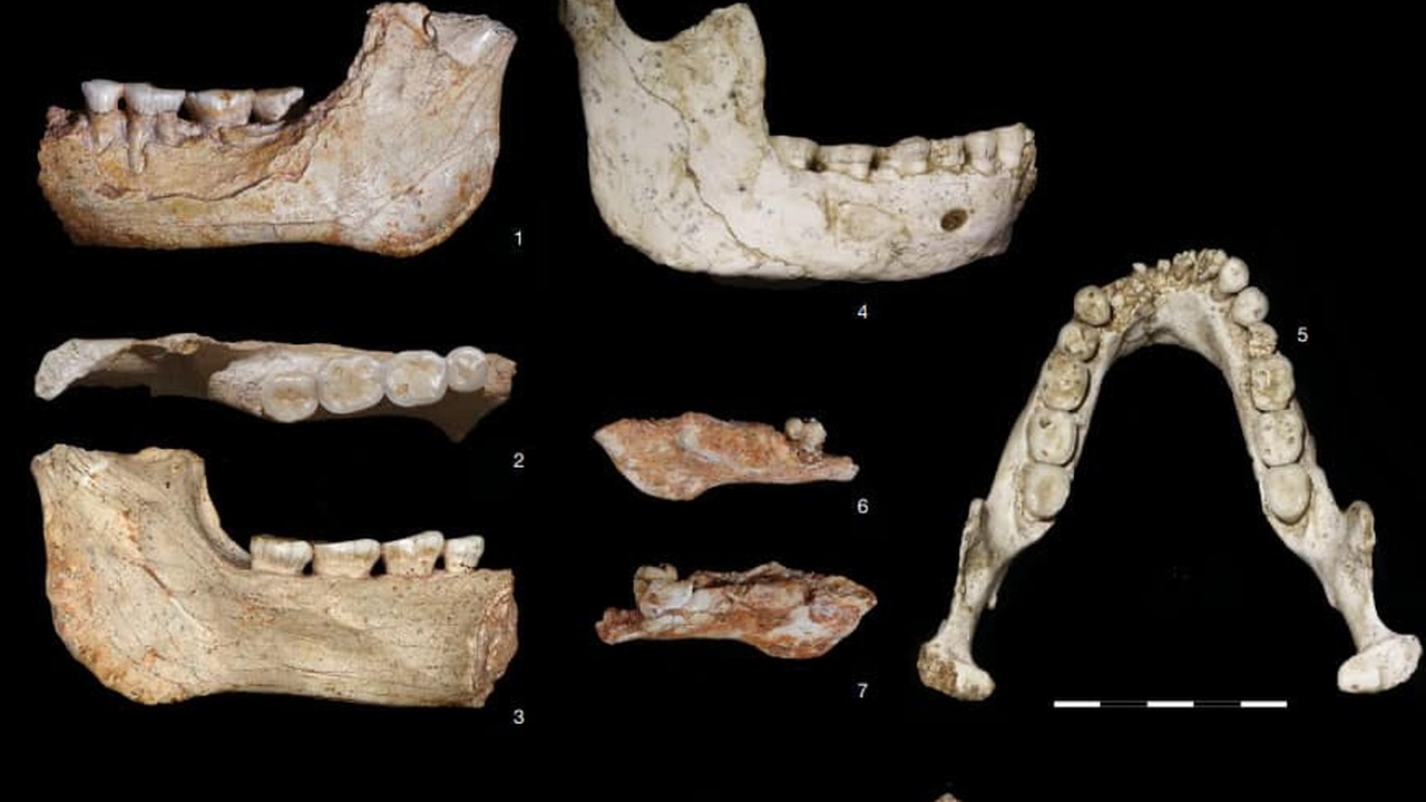 Недавние археологические открытия в Марокко ста...